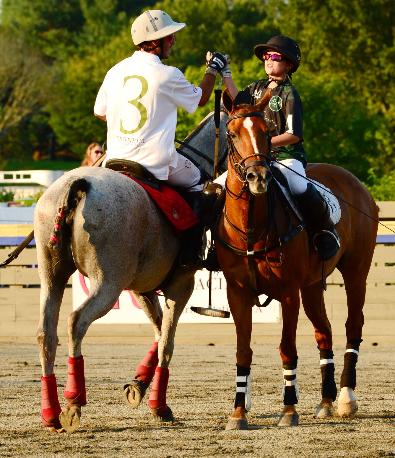 Polo 2